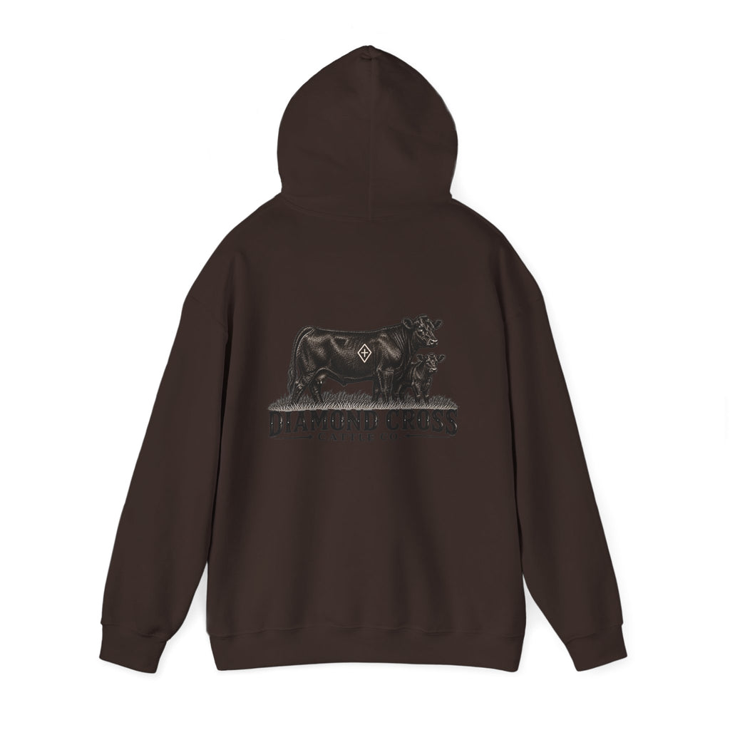Radlie men’s hoodie