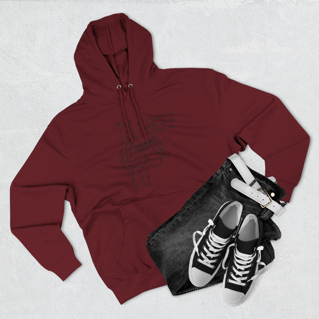 What a privilege fleece hoodie