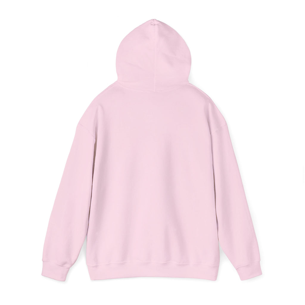 What would Jesus do Hooded Sweatshirt