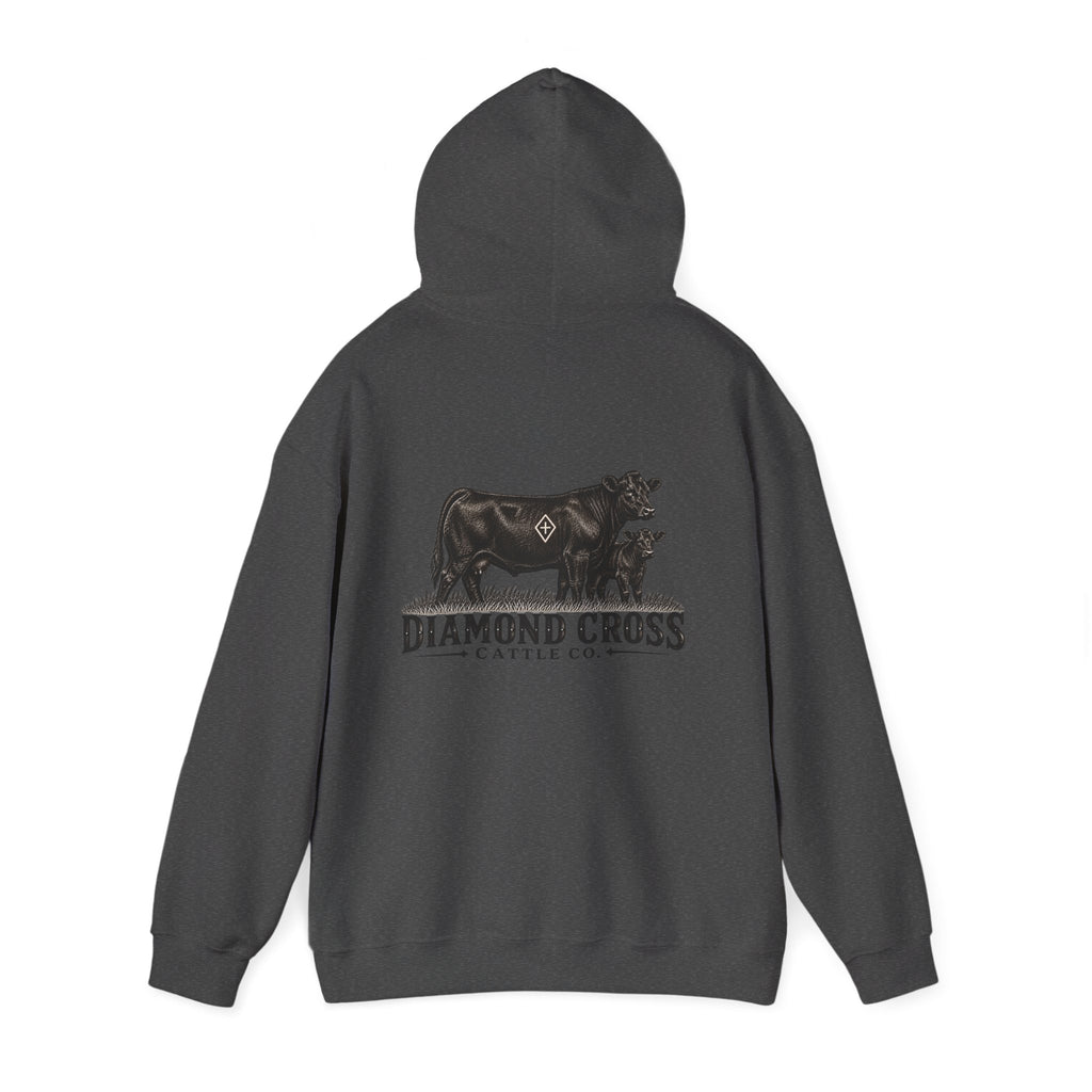 Radlie men’s hoodie