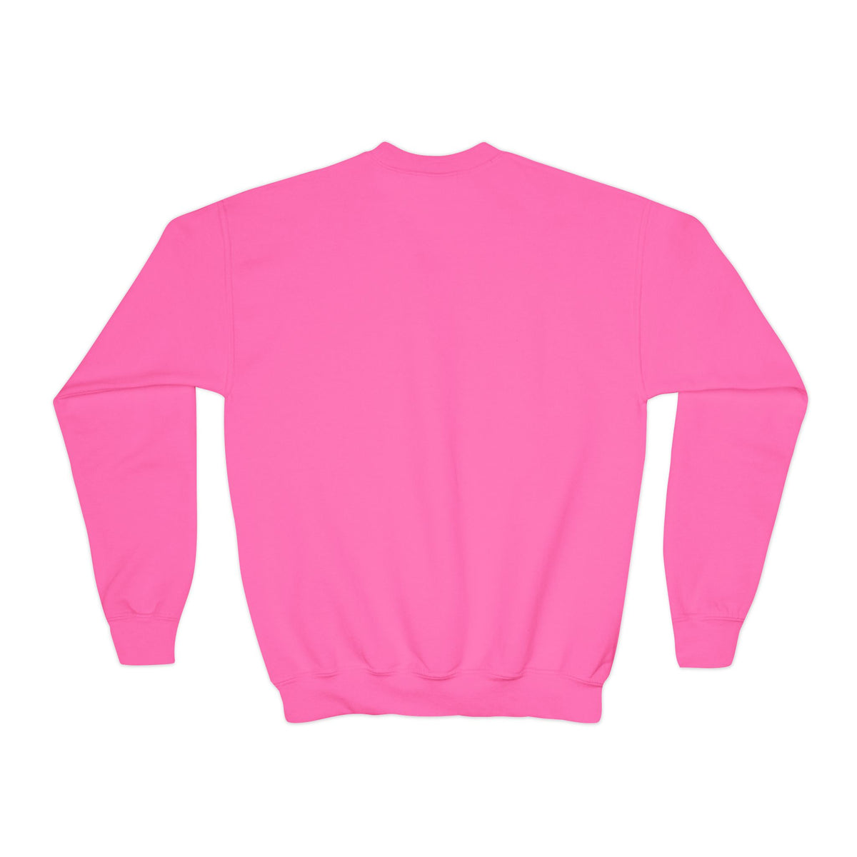 Howdy purr’dner crewneck girls