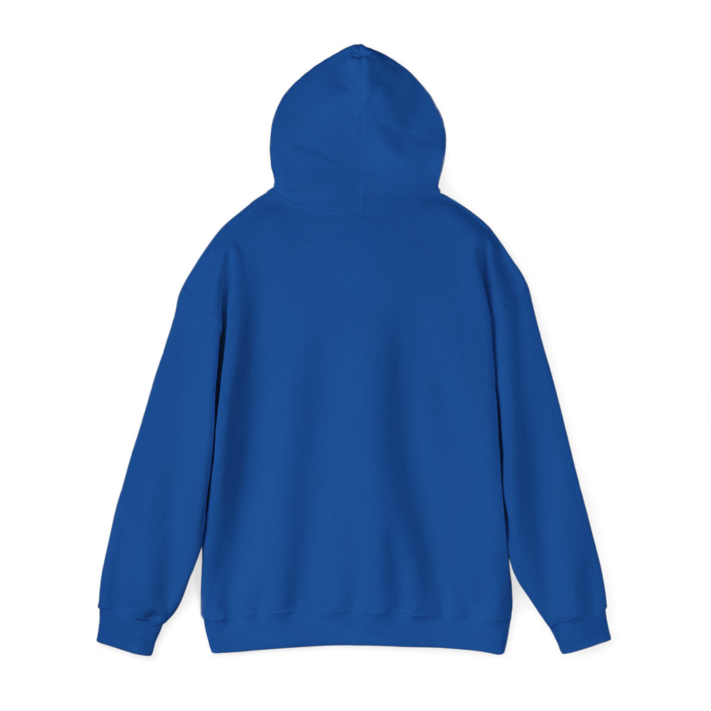 What would Jesus do Hooded Sweatshirt
