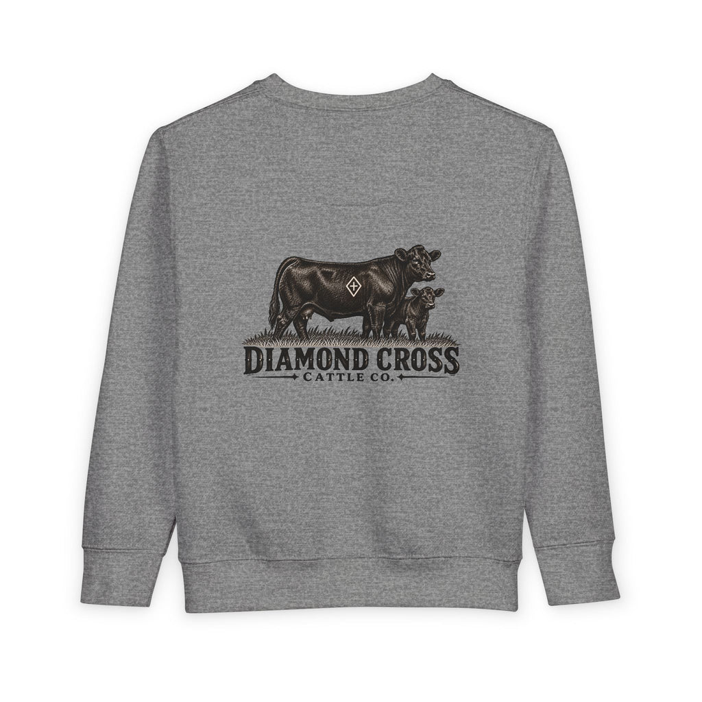Radlie toddler crewneck