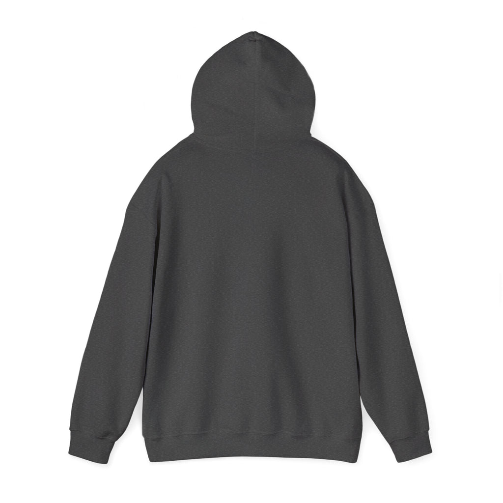Born to roam road runner hoodie with color