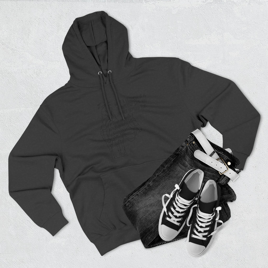 What a privilege fleece hoodie