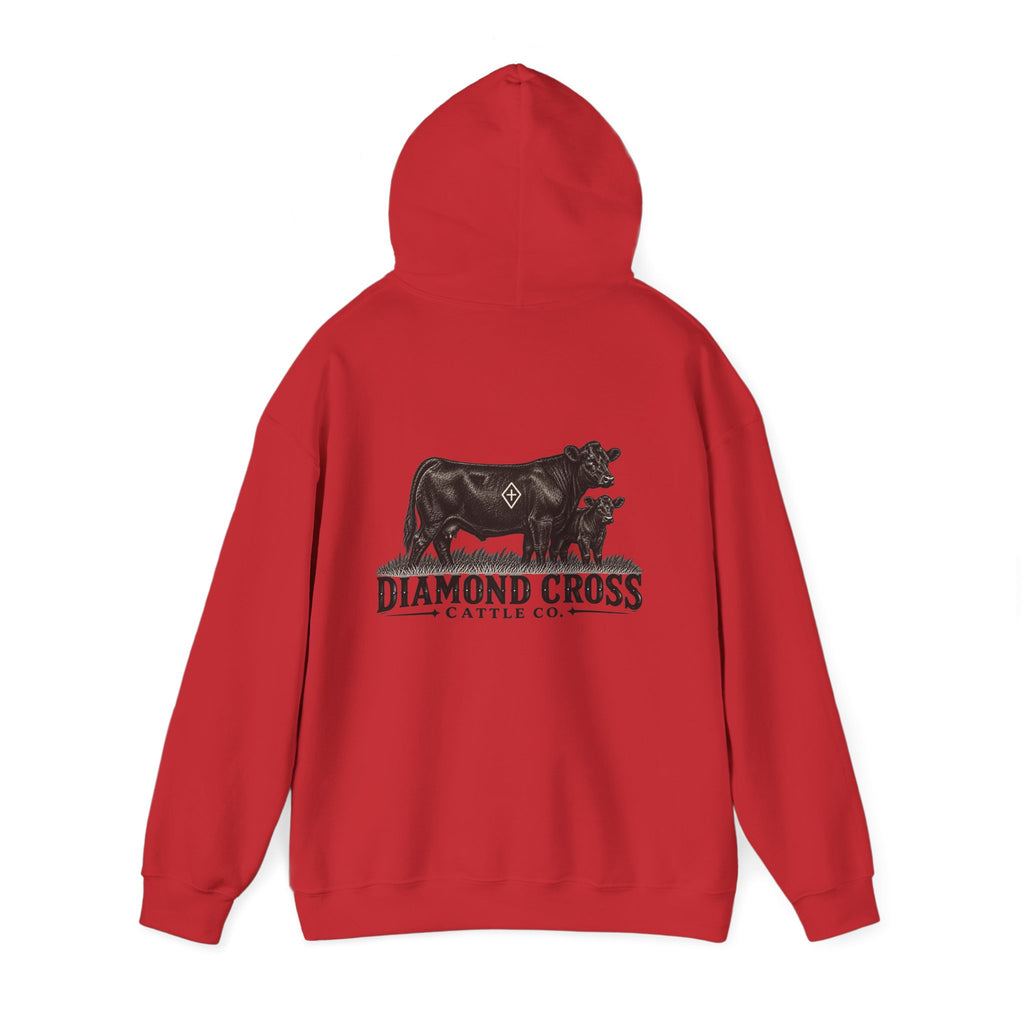 Radlie men’s hoodie