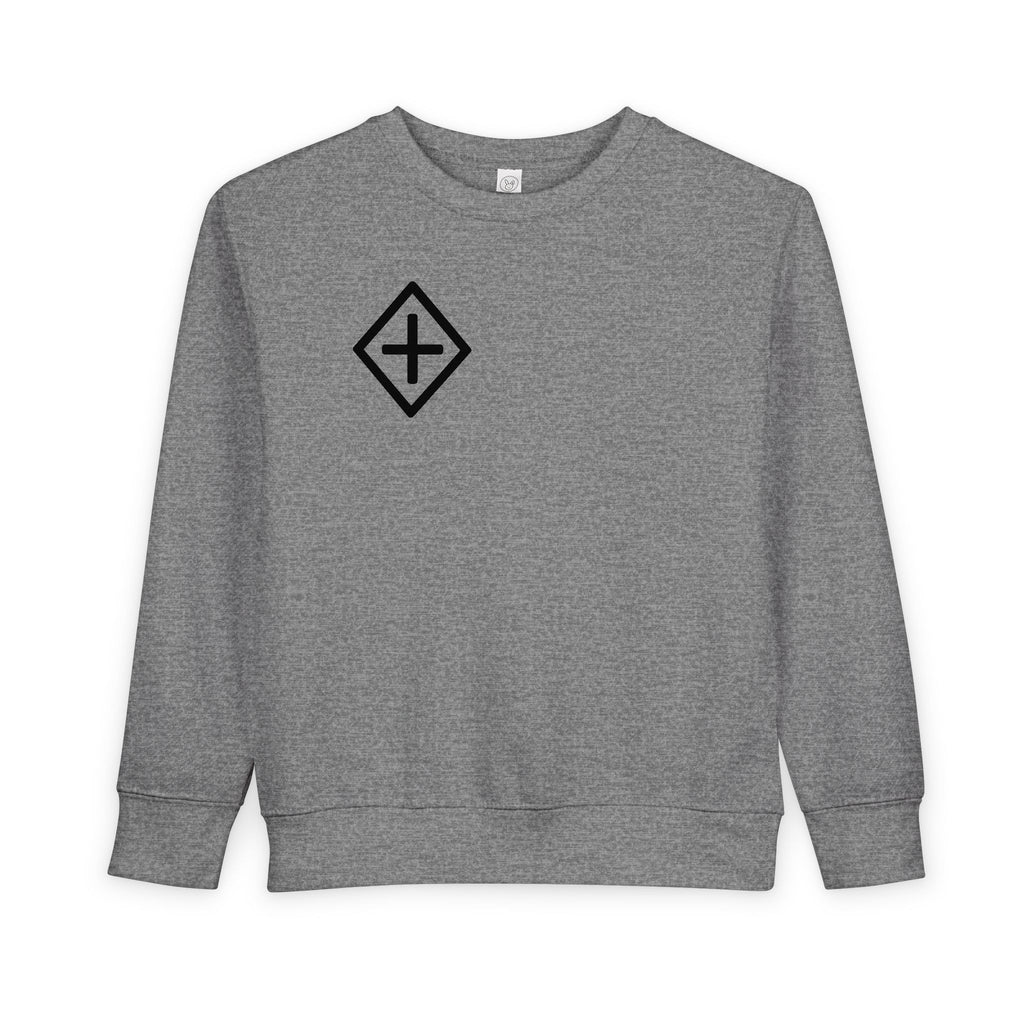 Radlie toddler crewneck