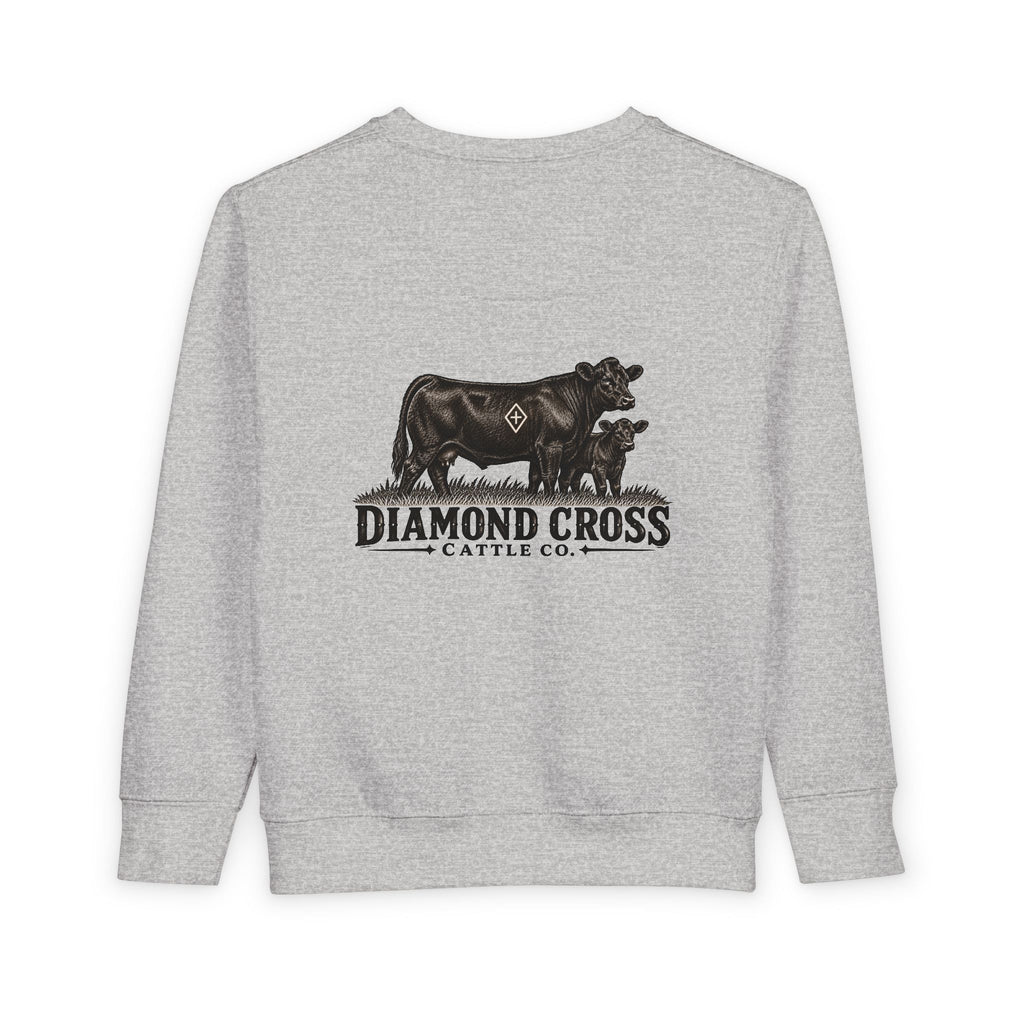 Radlie toddler crewneck