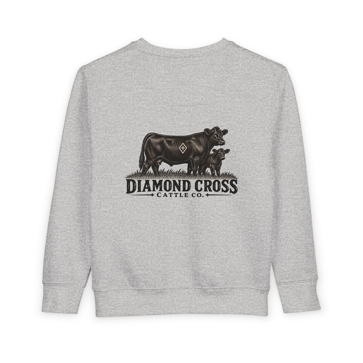 Radlie toddler crewneck